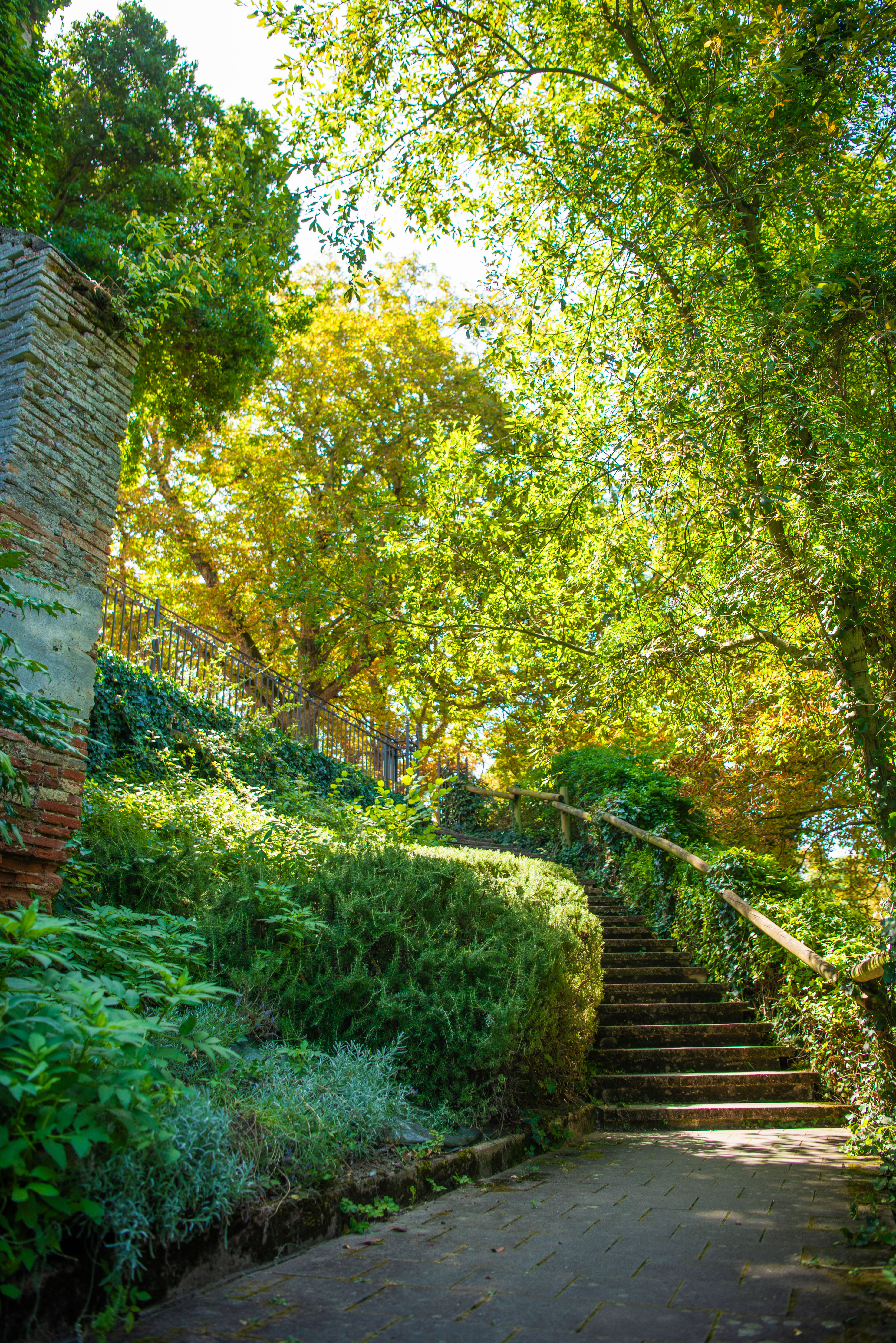 BALADE BOTANIQUE DU VIGNAOU, Lagardelle-sur-Lèze - photo 4