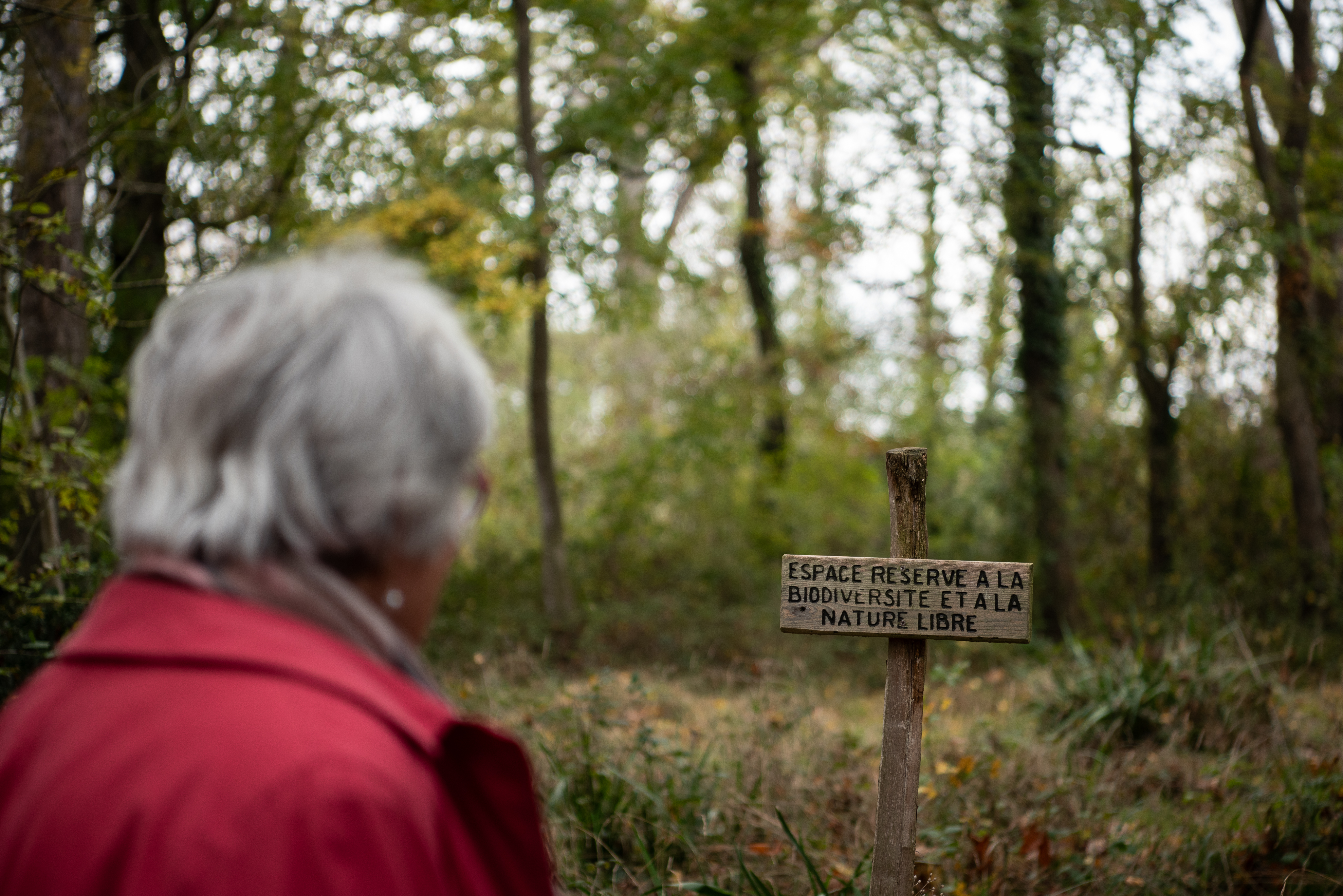 BALADE BOTANIQUE DU VIGNAOU, Lagardelle-sur-Lèze - photo 6