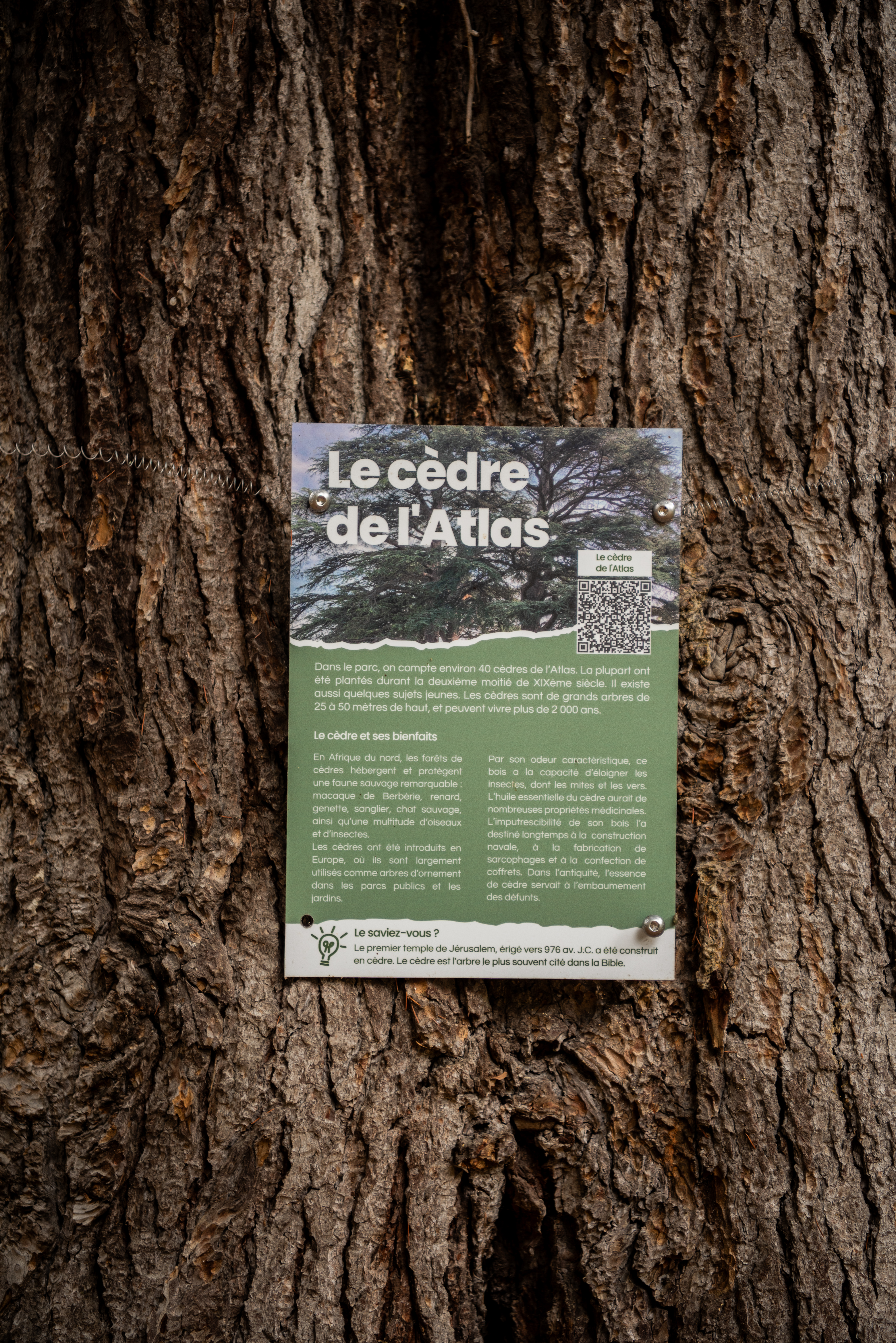 BALADE BOTANIQUE DU VIGNAOU, Lagardelle-sur-Lèze - photo 2