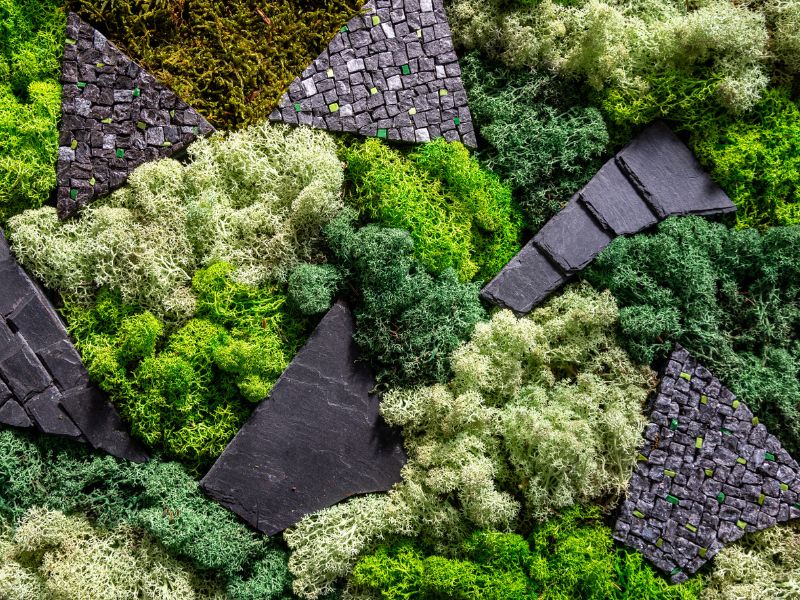 ÉCLATS CRÉATIONS, Daux