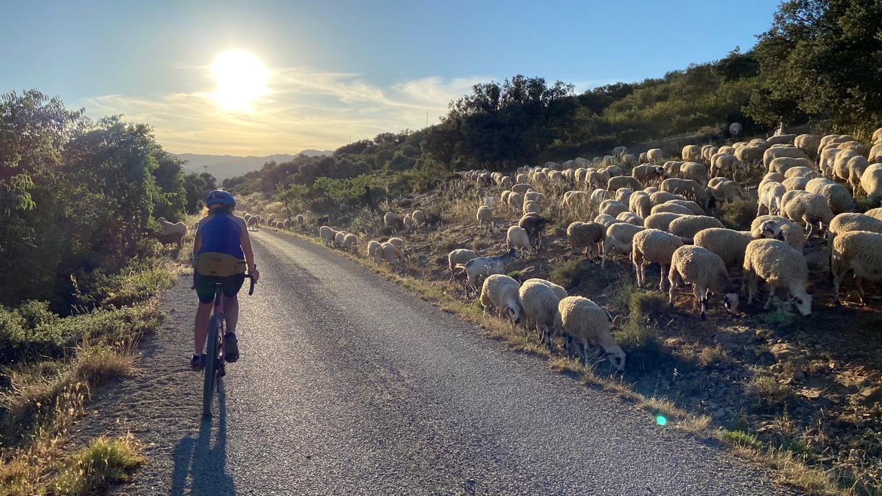 MAX COLOMBEL : MTB GUIDE PYRÉNÉES, Fougaron - photo 3
