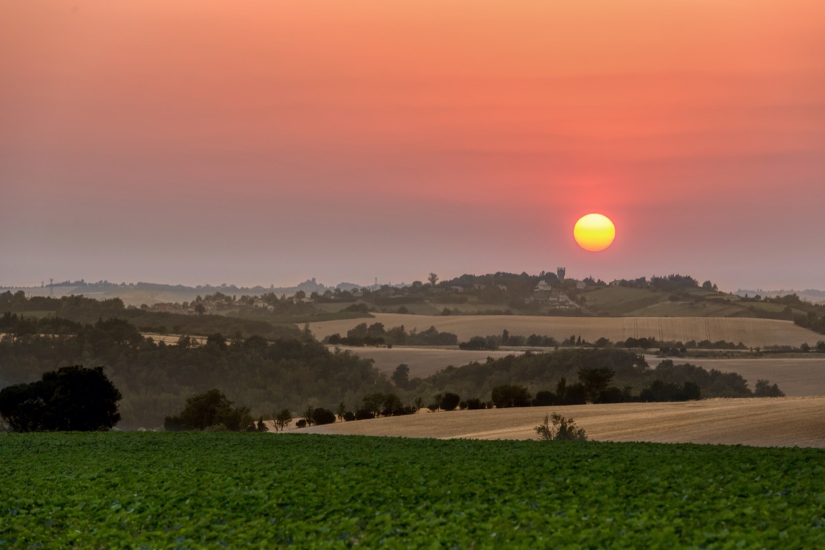 STAGE PHOTO, Lavernose-Lacasse - photo 7
