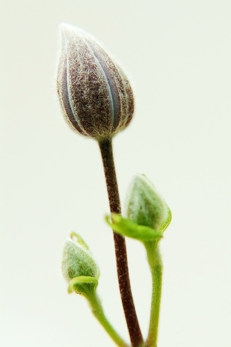 STAGE PHOTO, Lavernose-Lacasse - photo 8