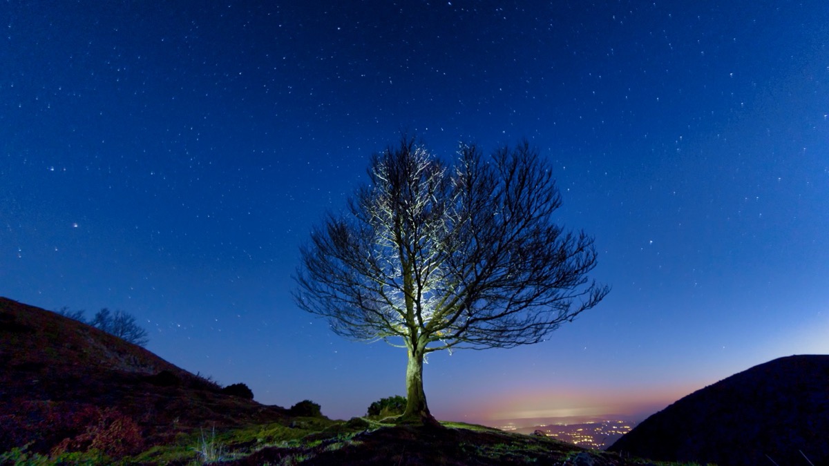 STAGE PHOTO, Lavernose-Lacasse - photo 6