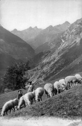 JOURNÉES EUROPÉENNES DU PATRIMOINE : « MÉMOIRE ...