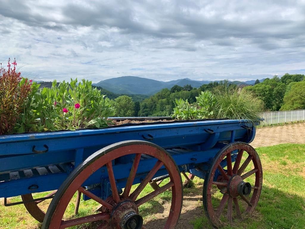 ESPLANADE DE LASSUS, Montréjeau - photo 3