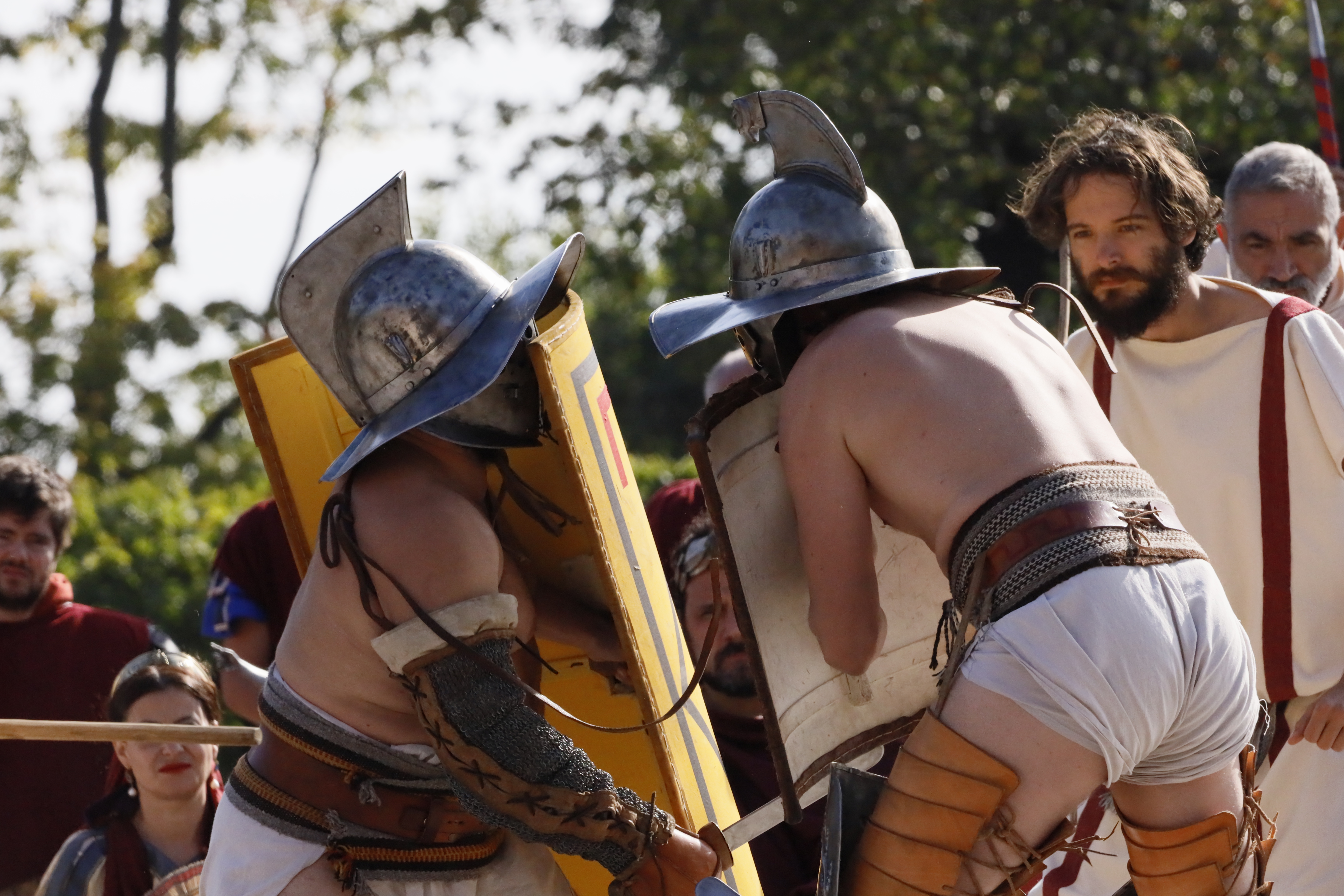 JOURNEES THEMATIQUES SUR LA GLADIATURE