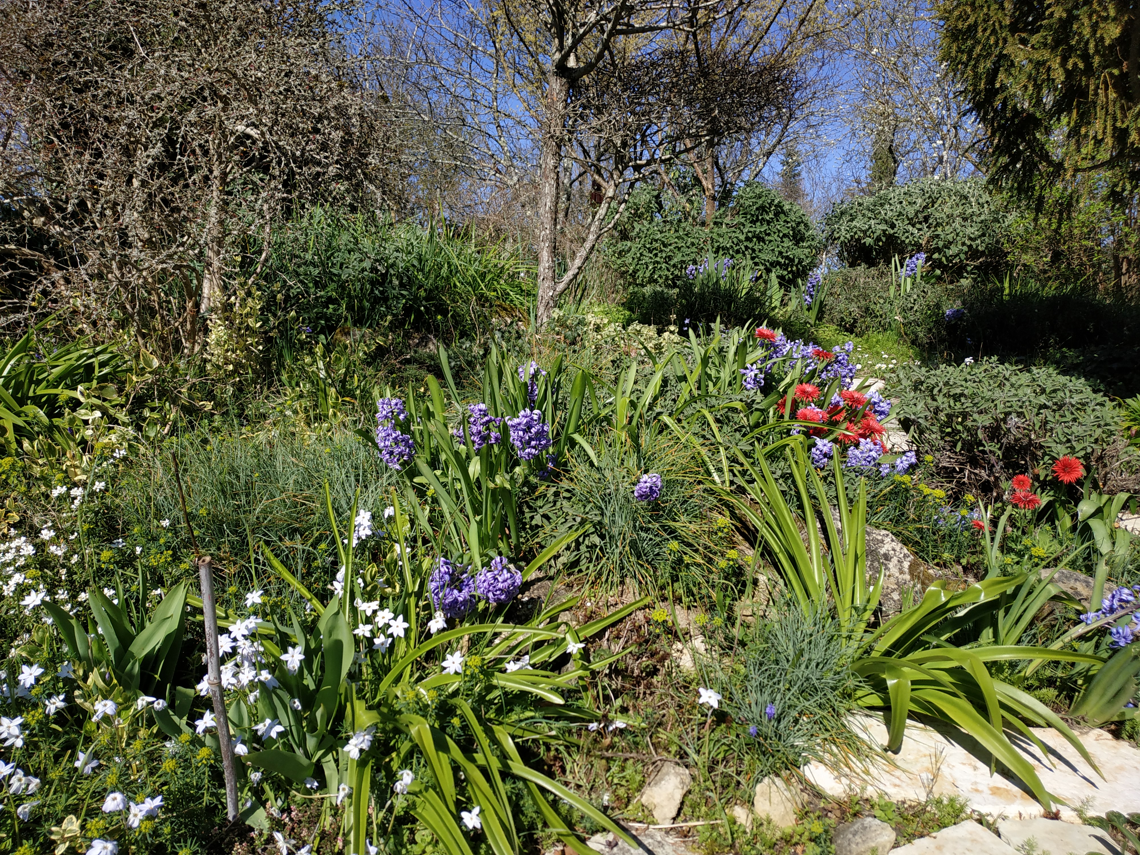 JARDIN D'EN GALINOU, Caraman - photo 2