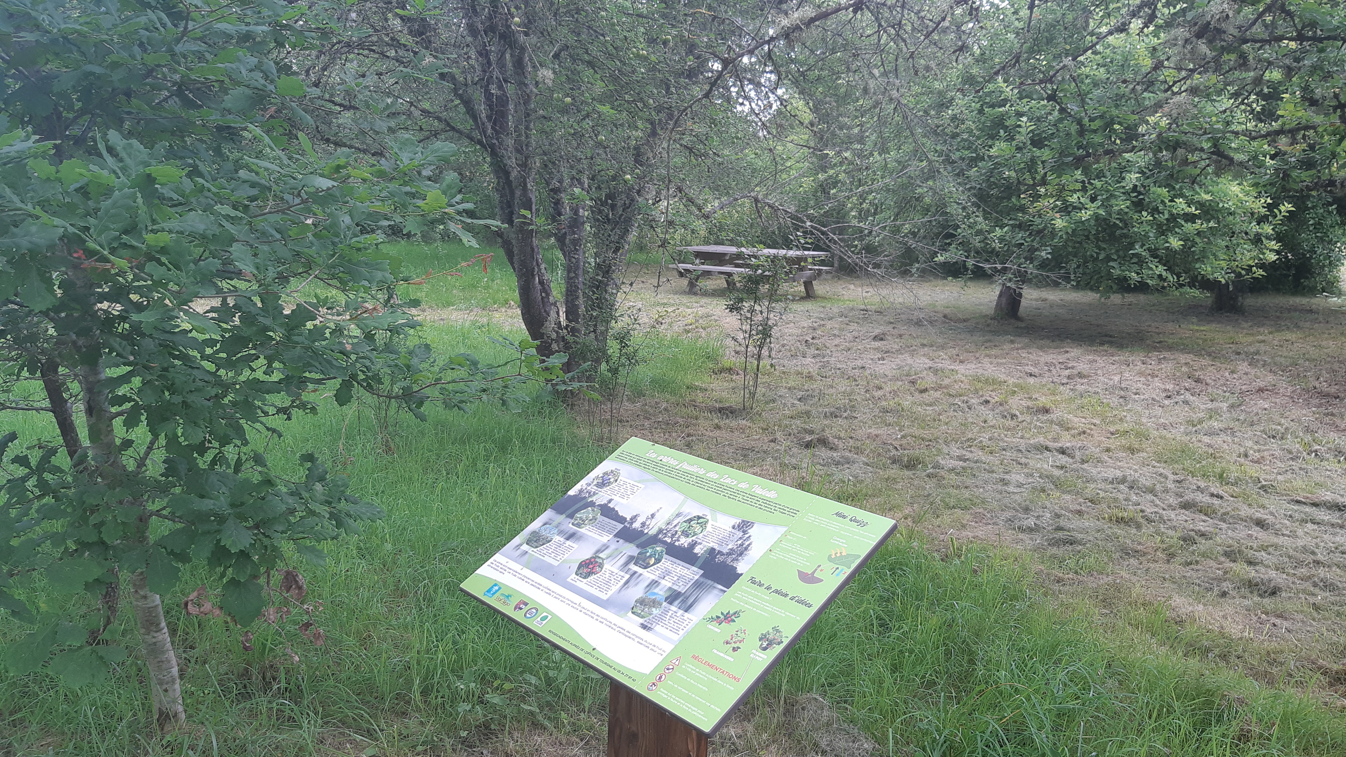 FÊTE DE LA NATURE AUX LACS DE VALETTE, Layrac-sur-Tarn - photo 2
