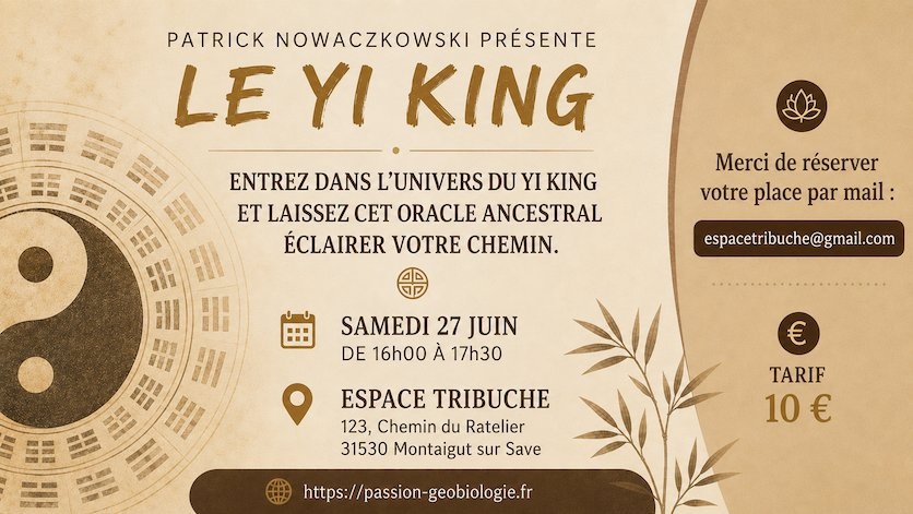 CONFÉRENCE YI KING, Montaigut-sur-Save - photo 2