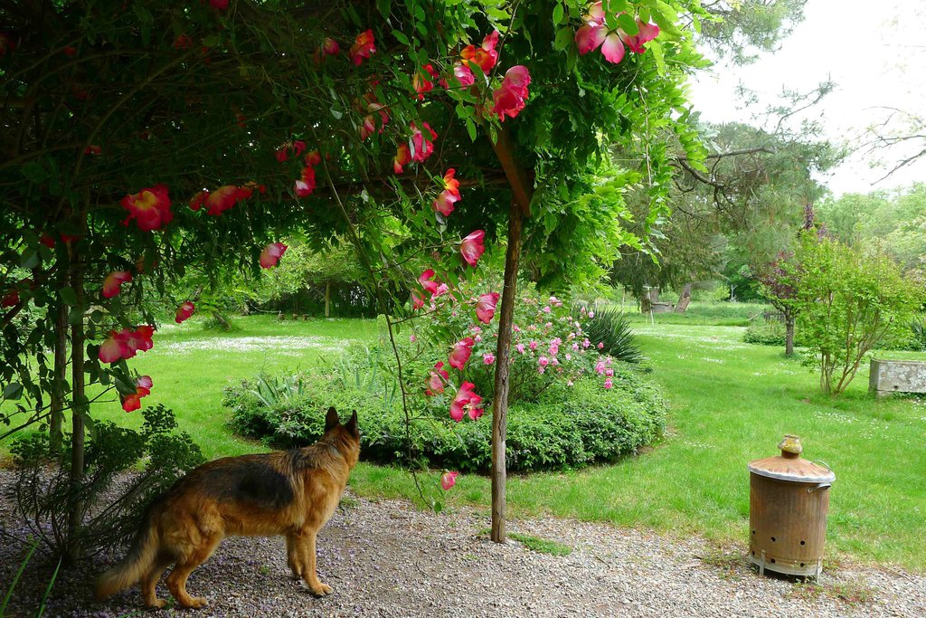 JOUR DES ARTISTES AU JARDIN