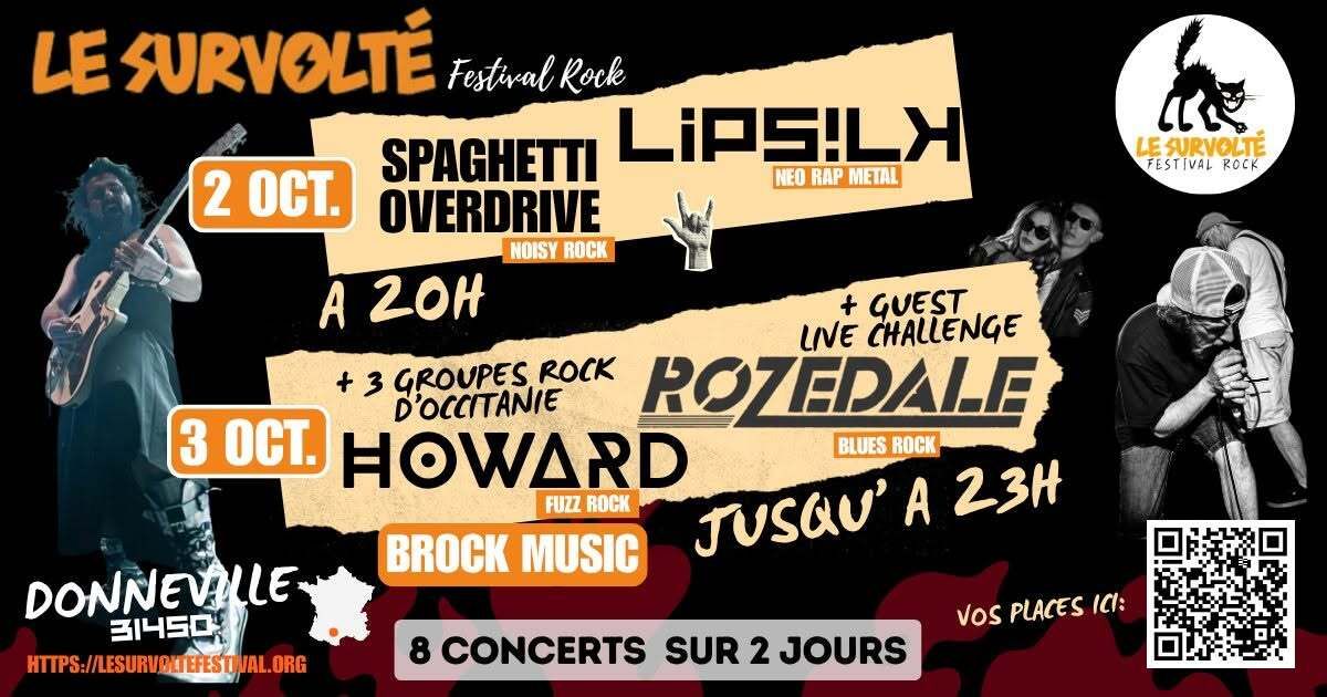 FESTIVAL LE SURVOLTE