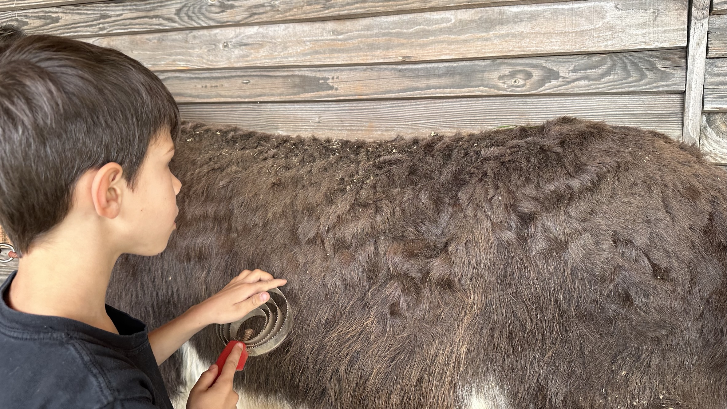 LA FERME D'OULAN BAT, Arbas - photo 7