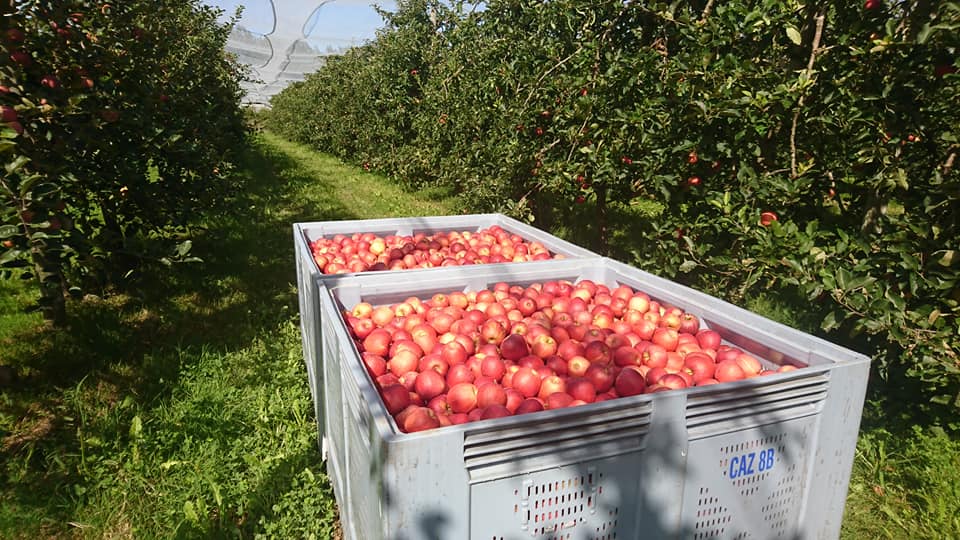 LES VERGERS DE LA GENTILLE
