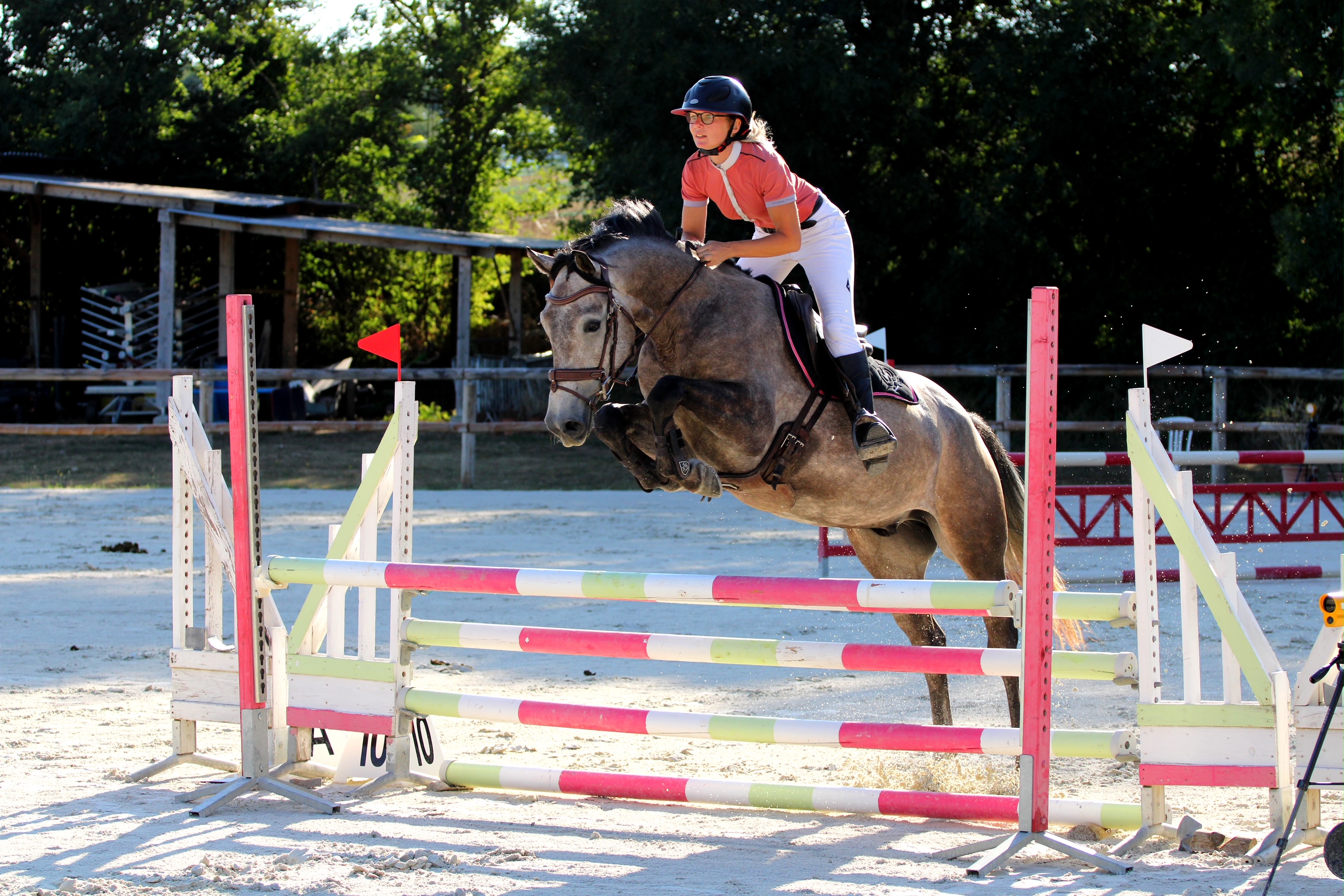 HIPPO'THESE, Montbrun-Lauragais