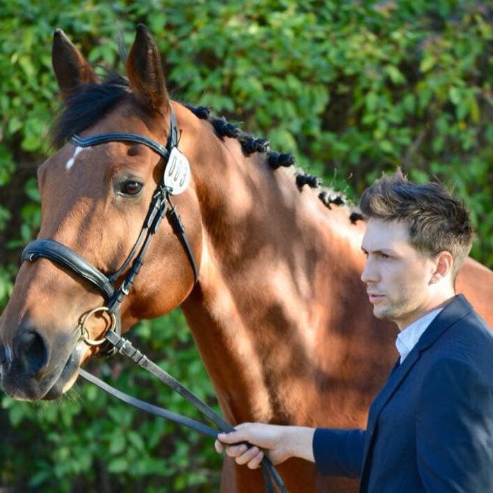 HIPPO'THESE, Montbrun-Lauragais - photo 6