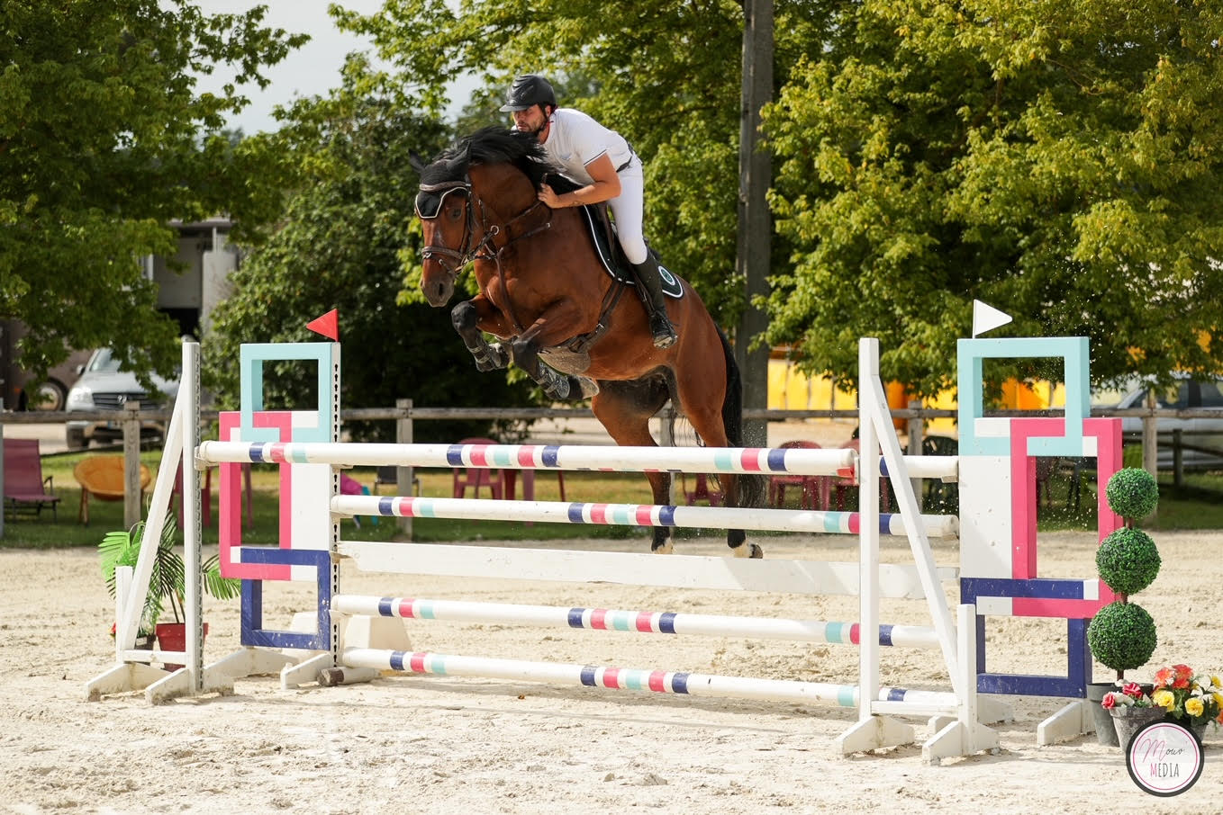 HIPPO'THESE, Montbrun-Lauragais - photo 4