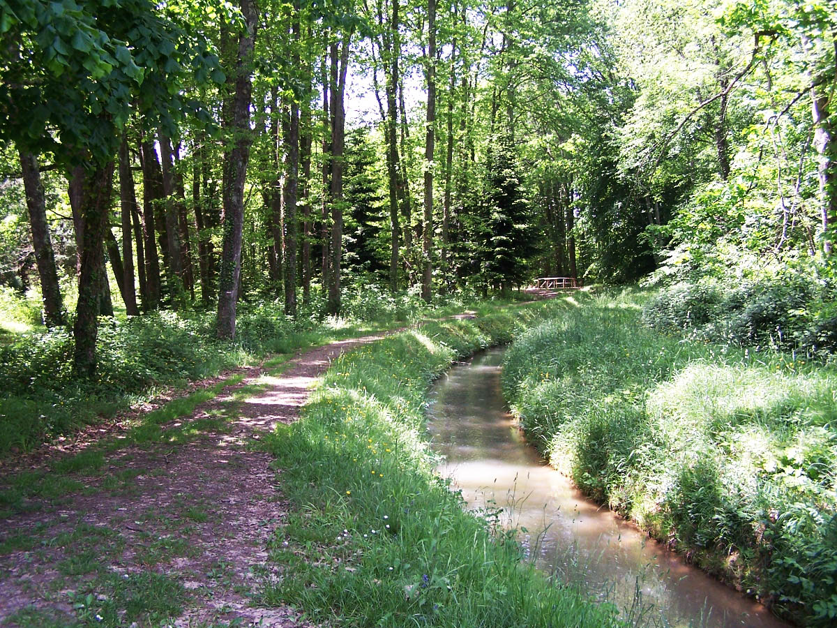 ARBORETUM DE CARDEILHAC, Cardeilhac - photo 2