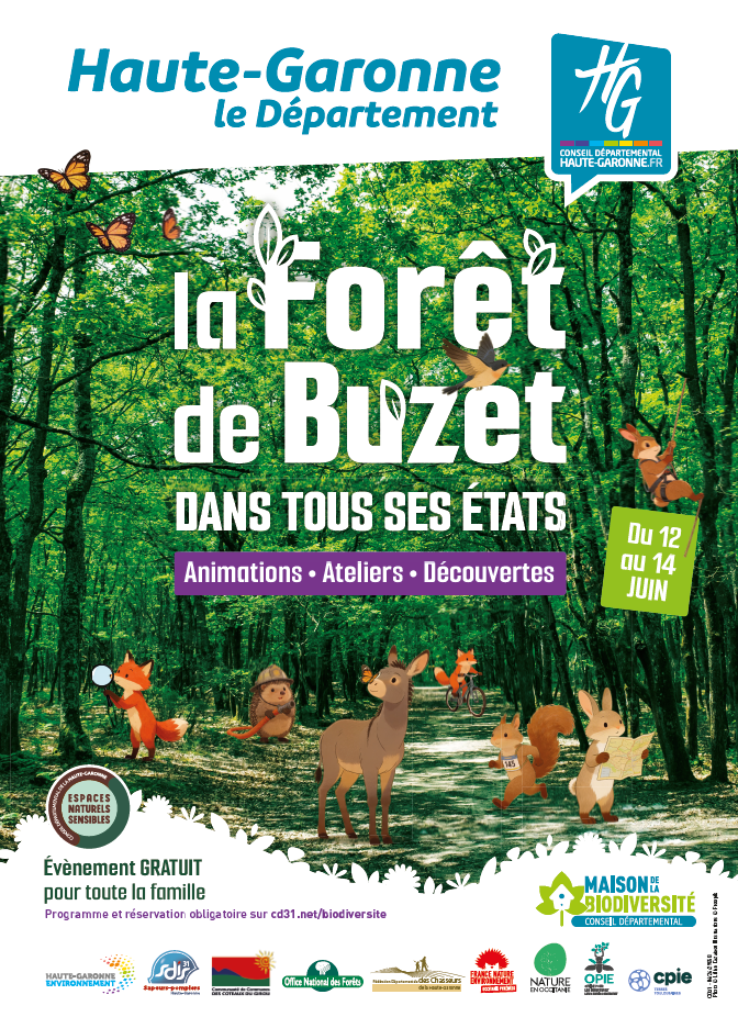 LA FORET DE BUZET DANS TOUS SES ETATS — visuel événement