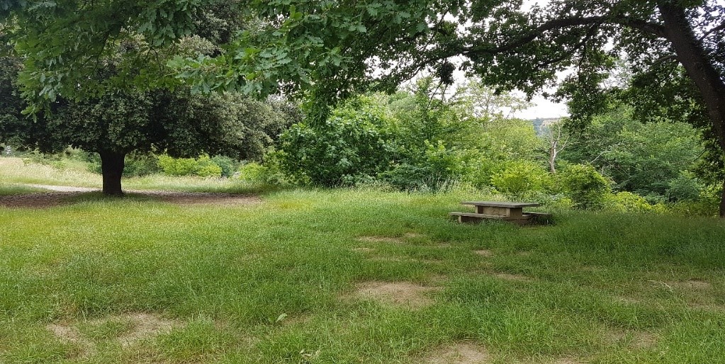 AIRE DE PIQUE-NIQUE AU BORD DE L'ARIZE