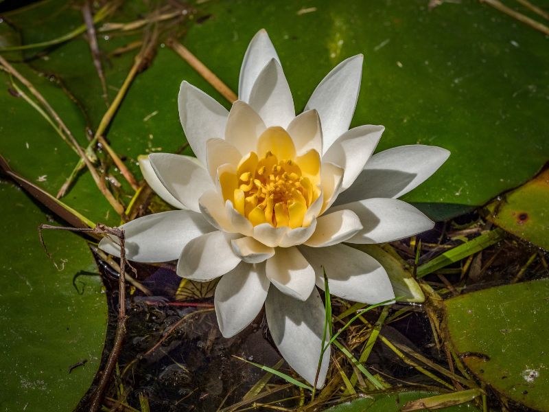 AIRE DE PIQUE-NIQUE, Pelleport - photo 3