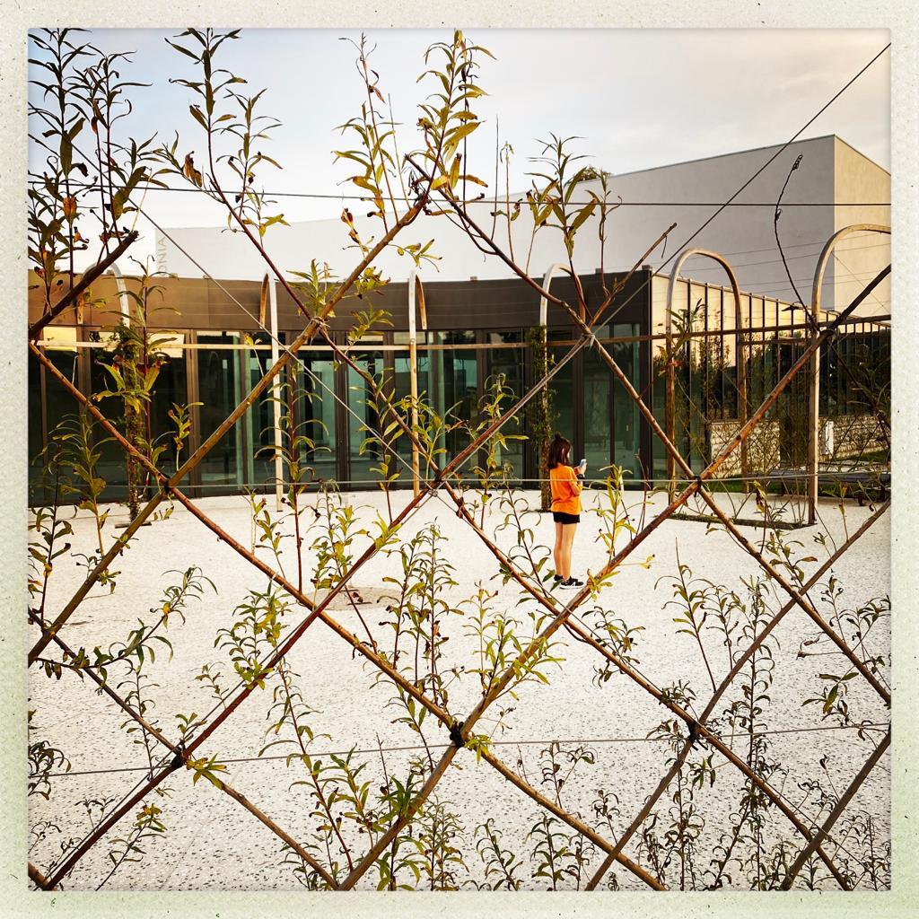 ESPACE CULTUREL ANGONIA, Martres-Tolosane