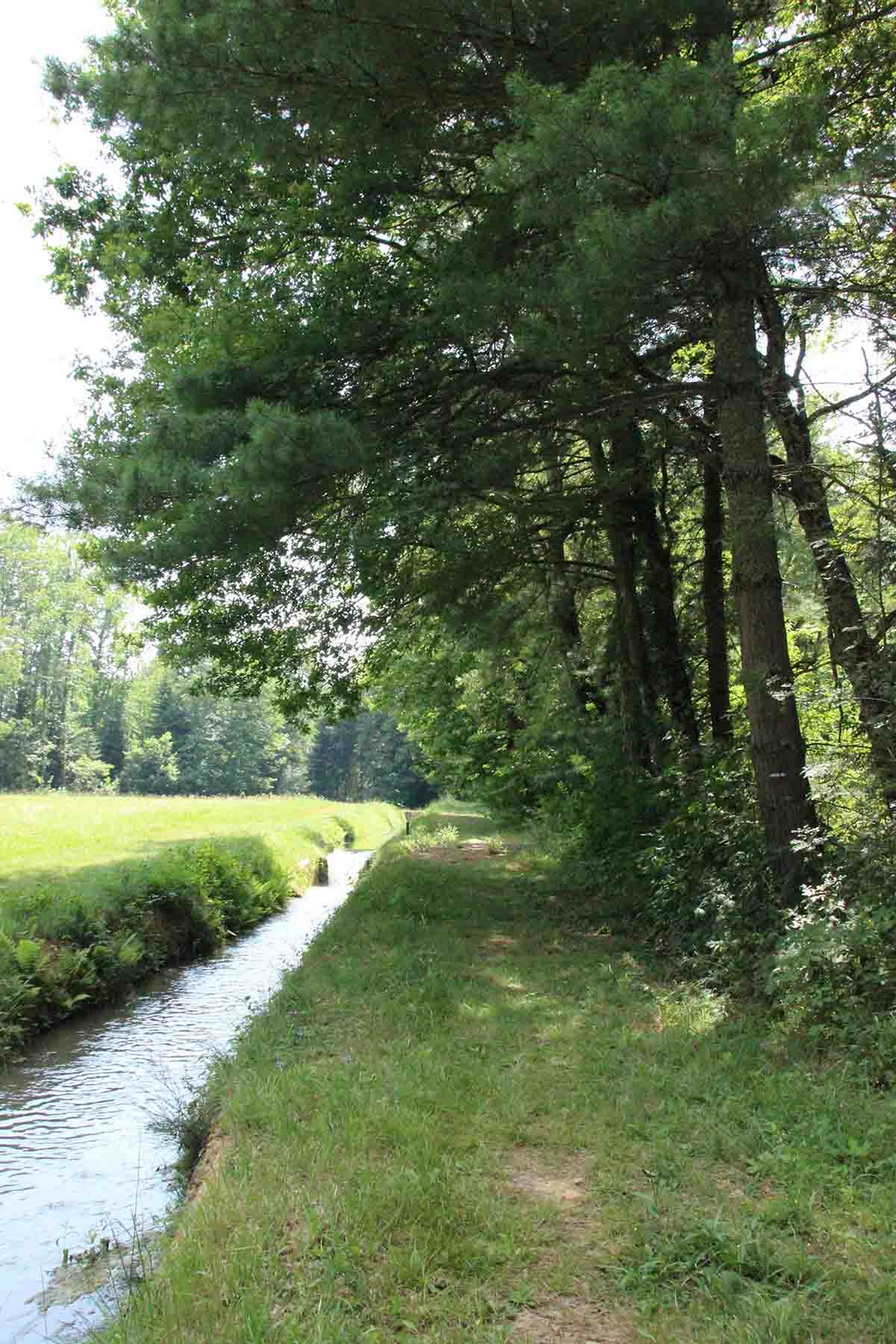 MAISON DE L'ARBORETUM, Cardeilhac - photo 3