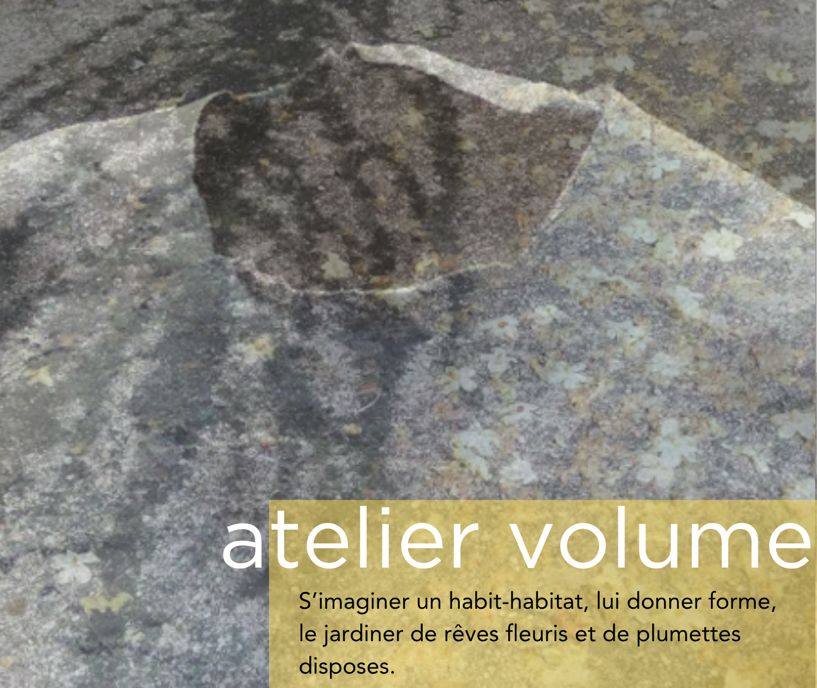 ATELIER VOLUME AVEC CLAIRE JOURNER — visuel événement