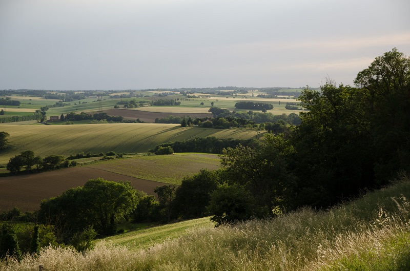 POINT DE VUE DE BELLEGARDE