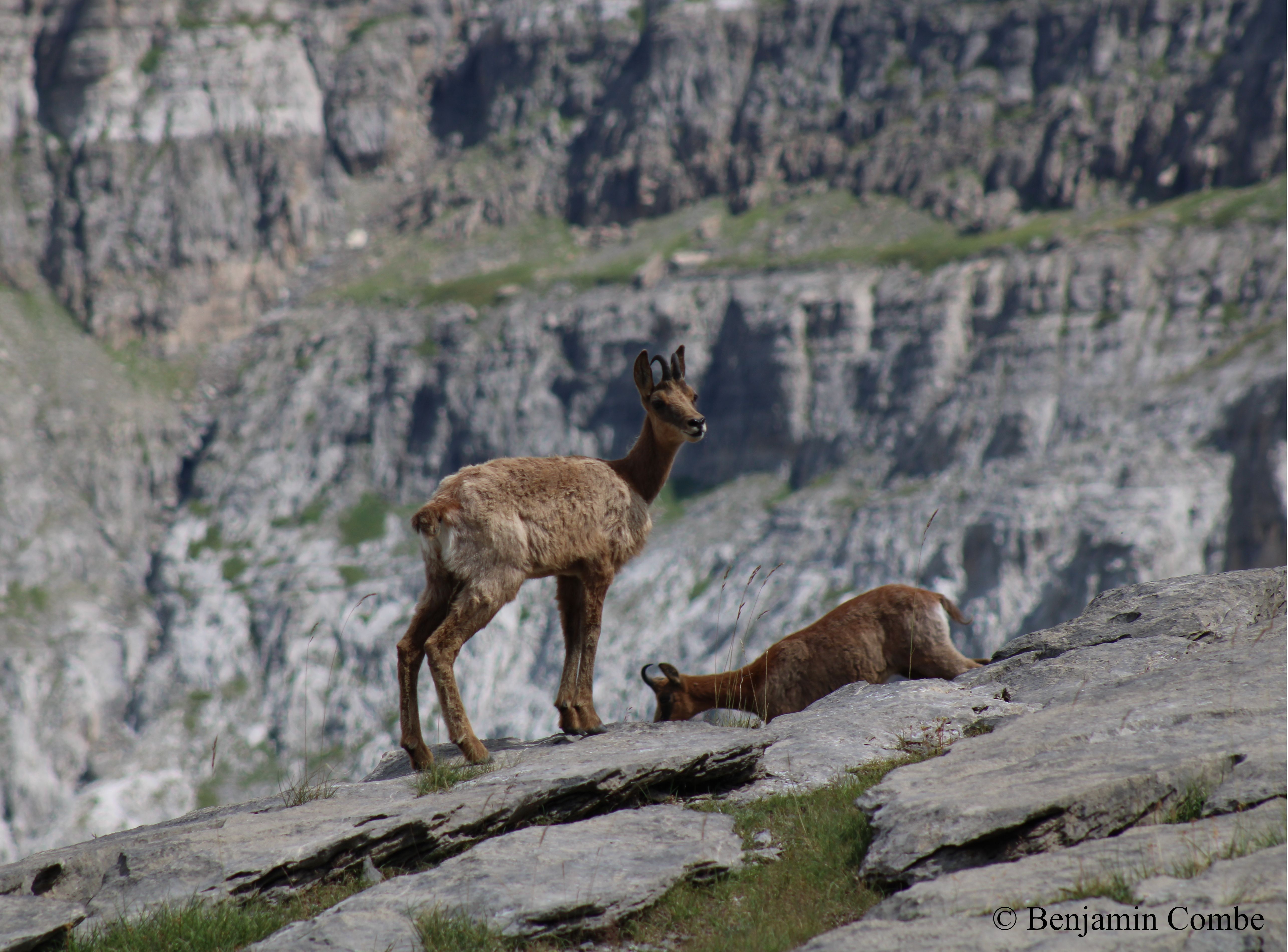 BENJAMIN COMBE – ACCOMPAGNATEUR MOYENNE MONTAGNE, Saint-Gaudens - photo 6
