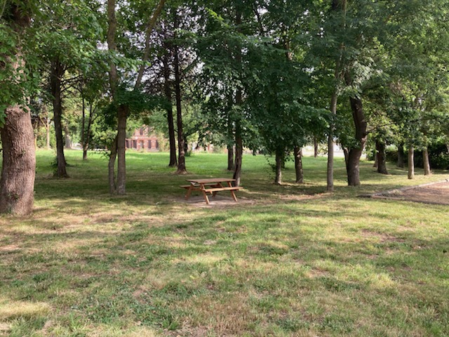 AIRE DE PIQUE-NIQUE DE BRUNIS - photo 2