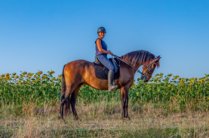 ECURIES D'EN SANS, Cadours