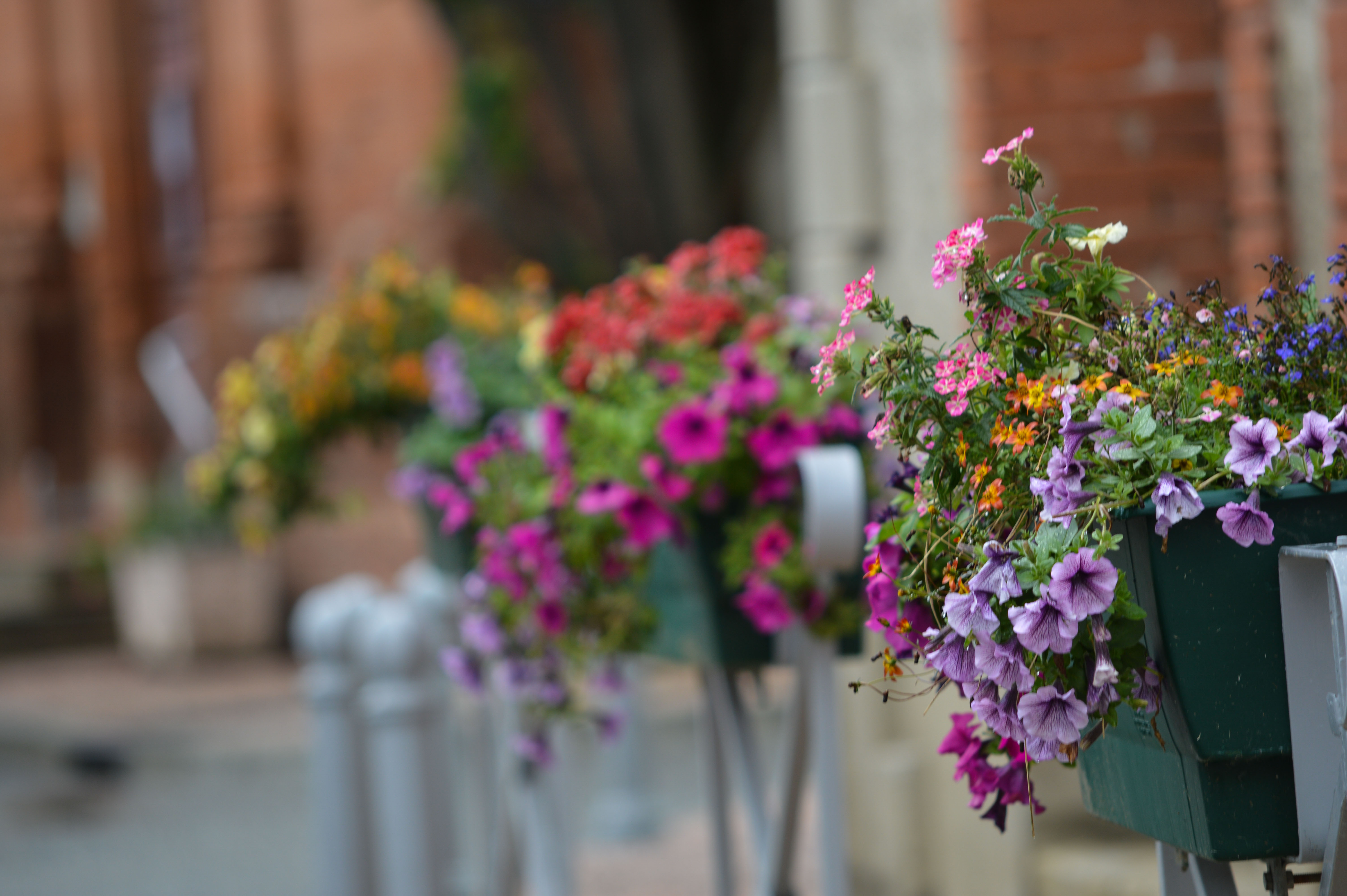 LA BASTIDE DE CALMONT, Seyre - photo 4