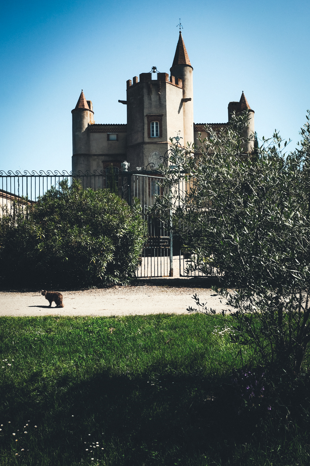DOMAINE DE RIBONNET