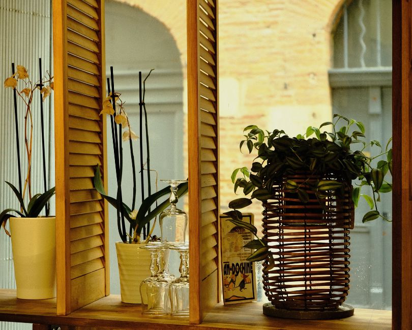 ÀNDOCHINE - photo 2