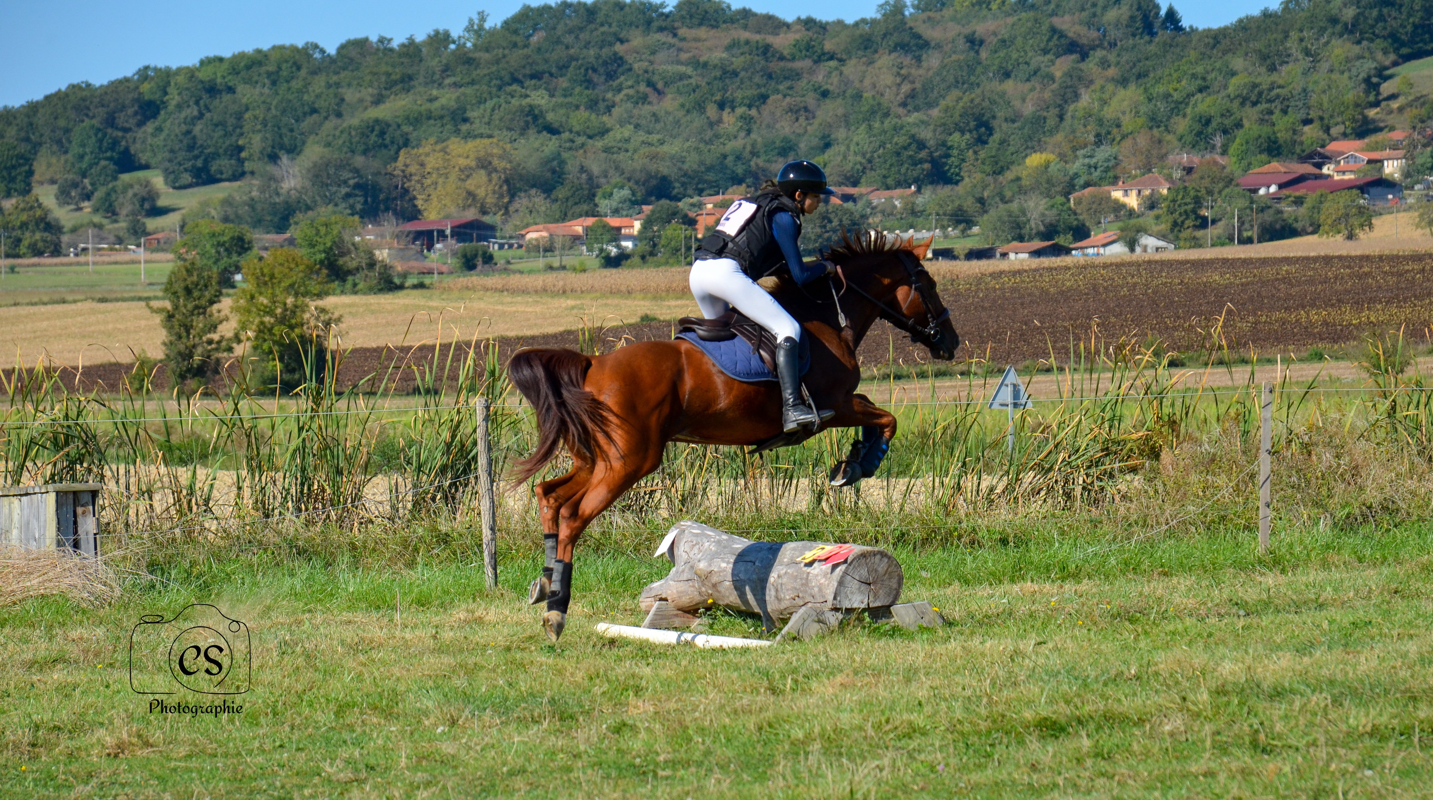 LES ECURIES DE BAN, Sarrecave - photo 4