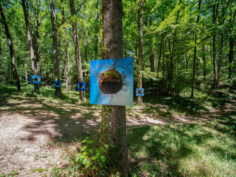 EXPOSITION EN FORÊT.