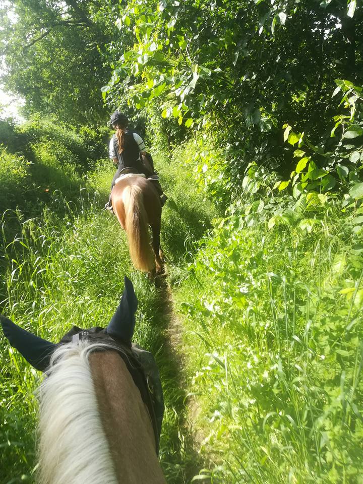 CLUB HIPPIQUE DU BOUSQUET, Labège