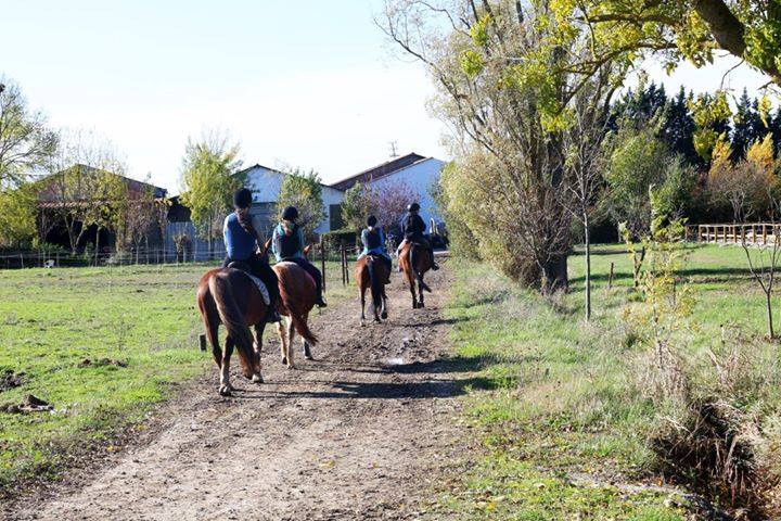 CLUB HIPPIQUE DU BOUSQUET, Labège - photo 5