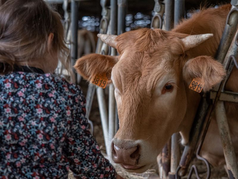 FERME DE LA TOUNINE