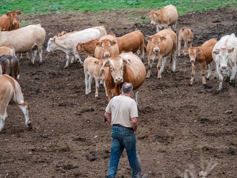 FERME DE LA TOUNINE