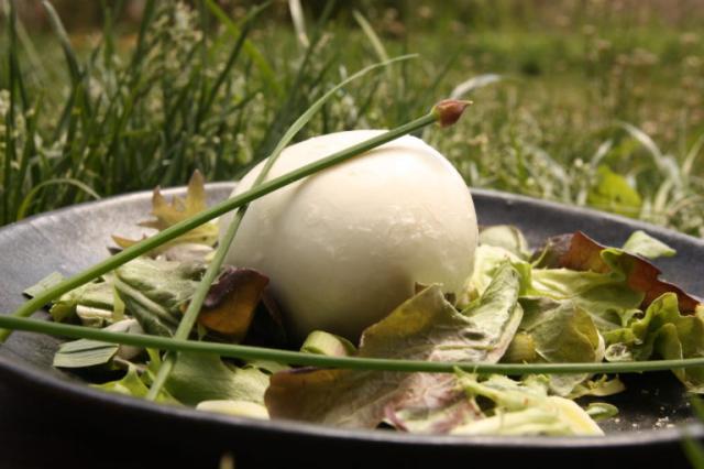 LA FERME DE L'OMIERE