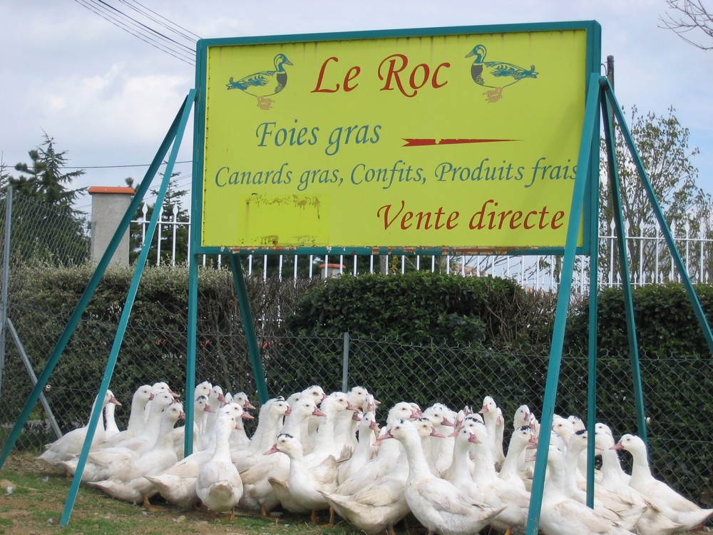 LA FERME DU ROC