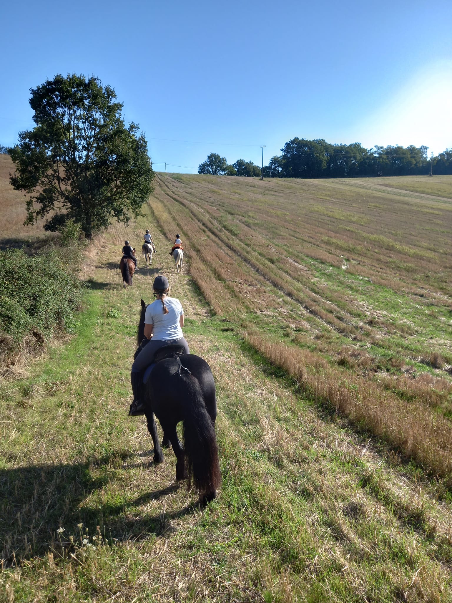 EQUIT'EN COEUR DE GARONNE