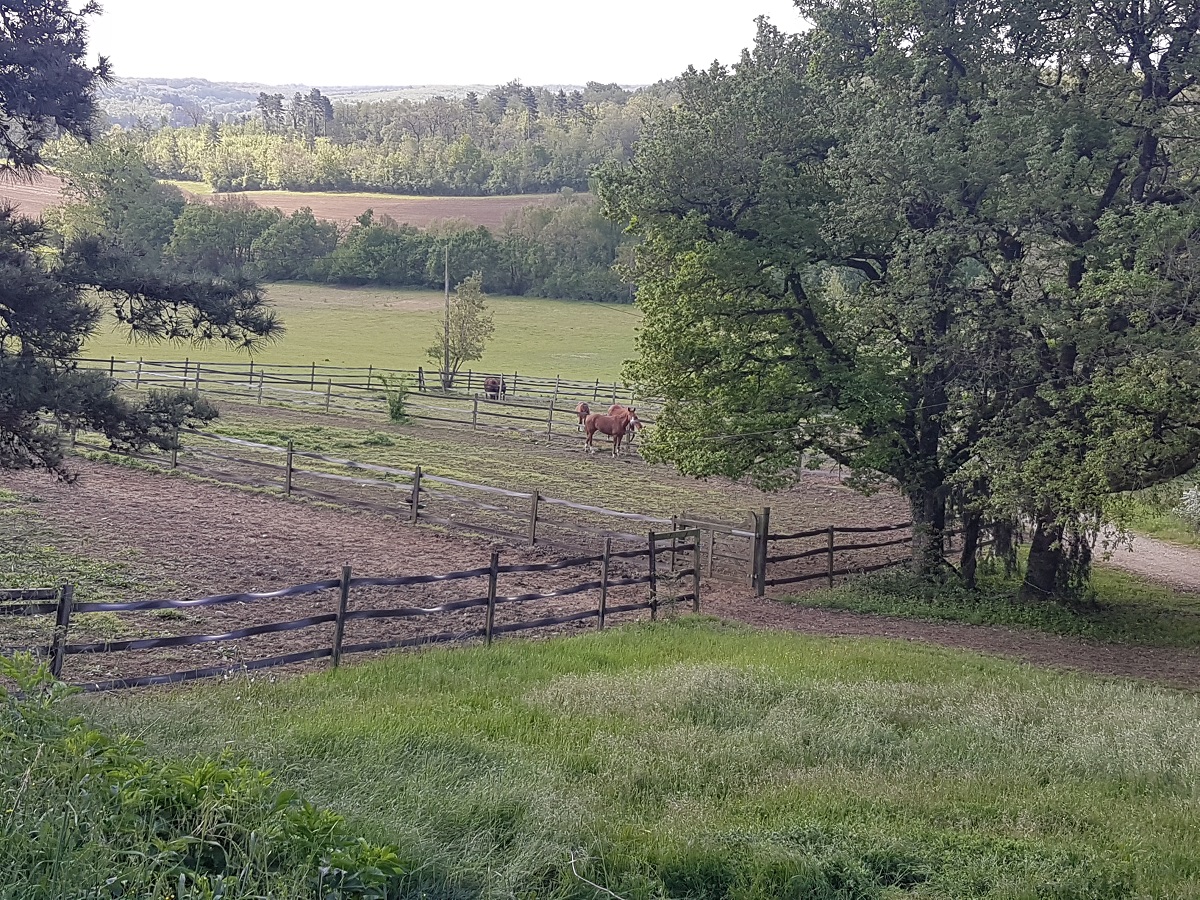 HARAS DE FLEYRES