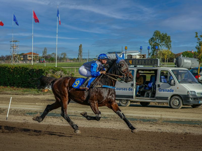 DANS LES COULISSES DE L'HIPPODROME