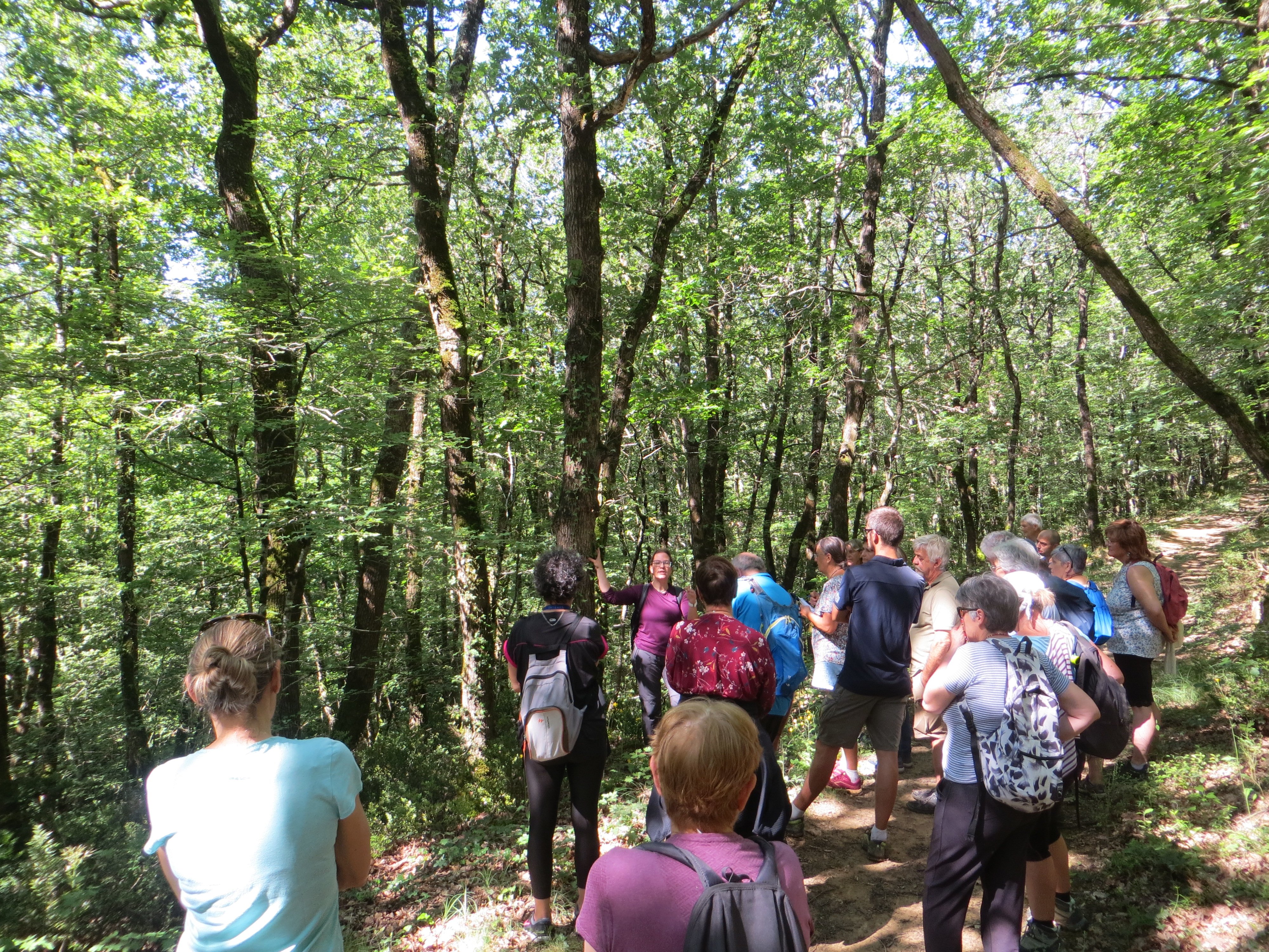 LE COLIBRI HERBORISTE