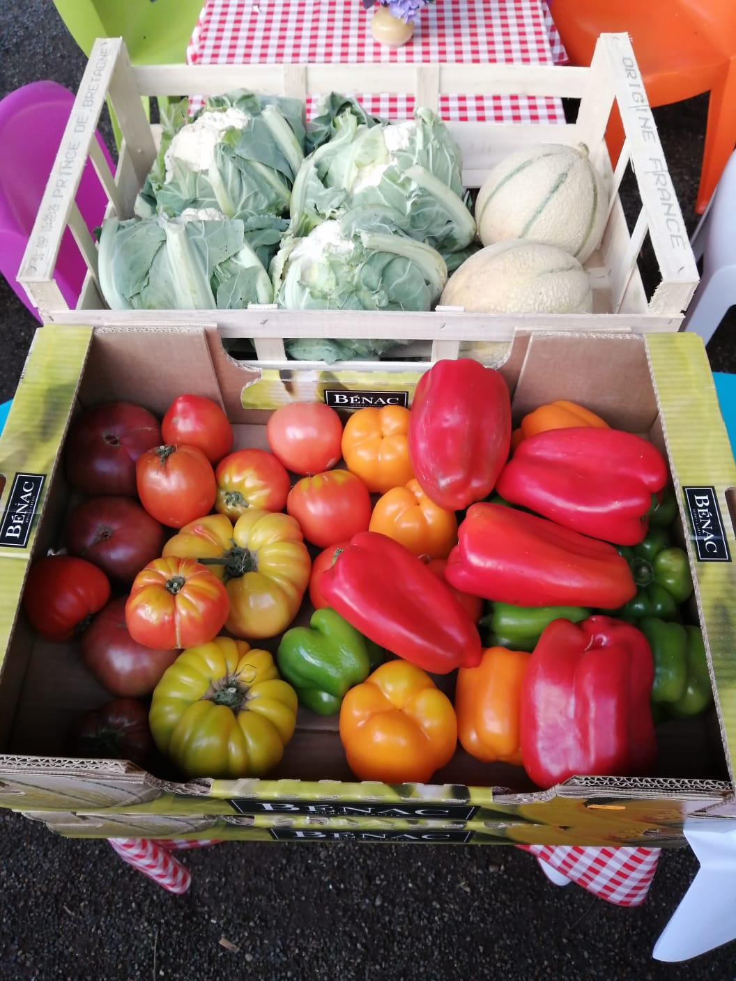 GUINGUETTE LA RIVIERE AUX PAPILLONS, Aspet - photo 10