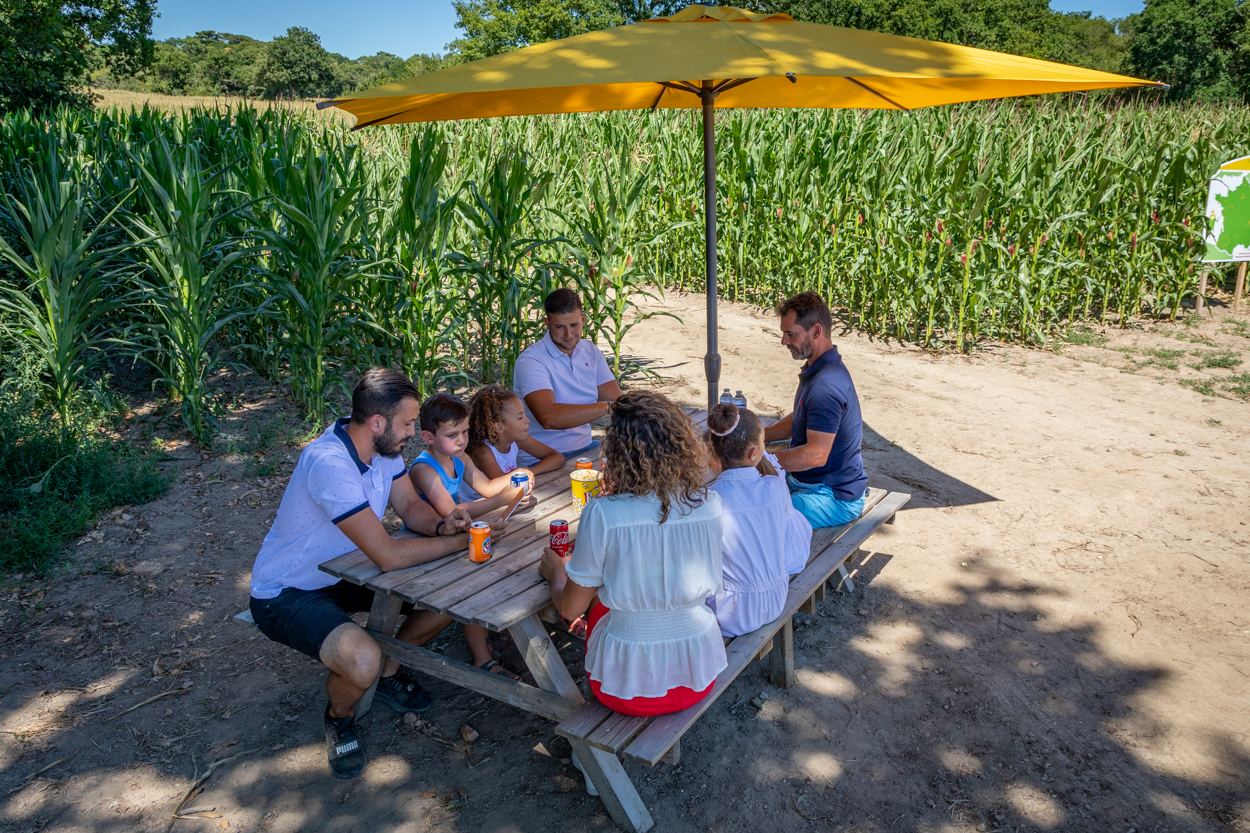 POP CORN LABYRINTHE, Montgiscard - photo 4