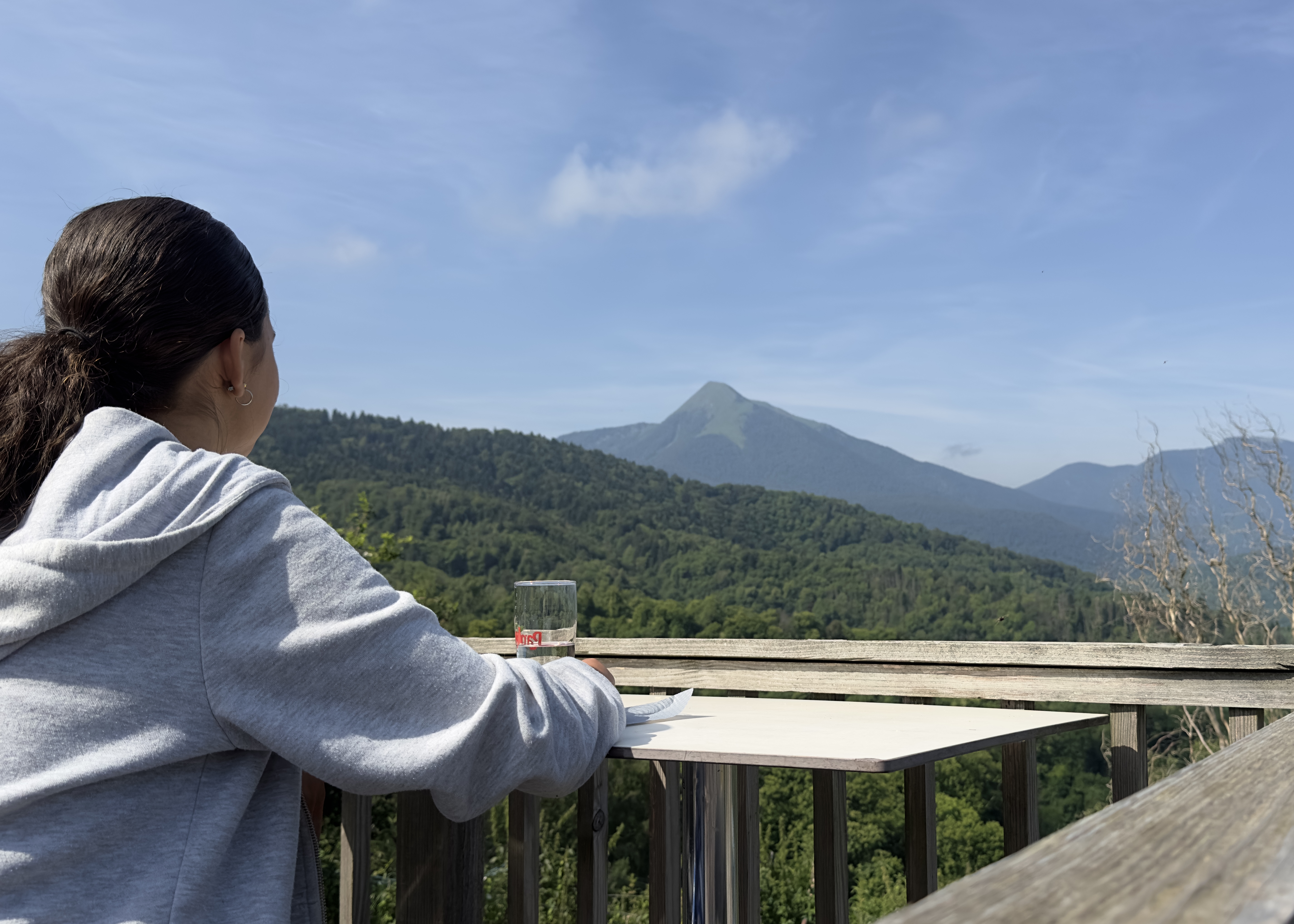 FERME AUBERGE DE TAILLEHER, Aspet - photo 7